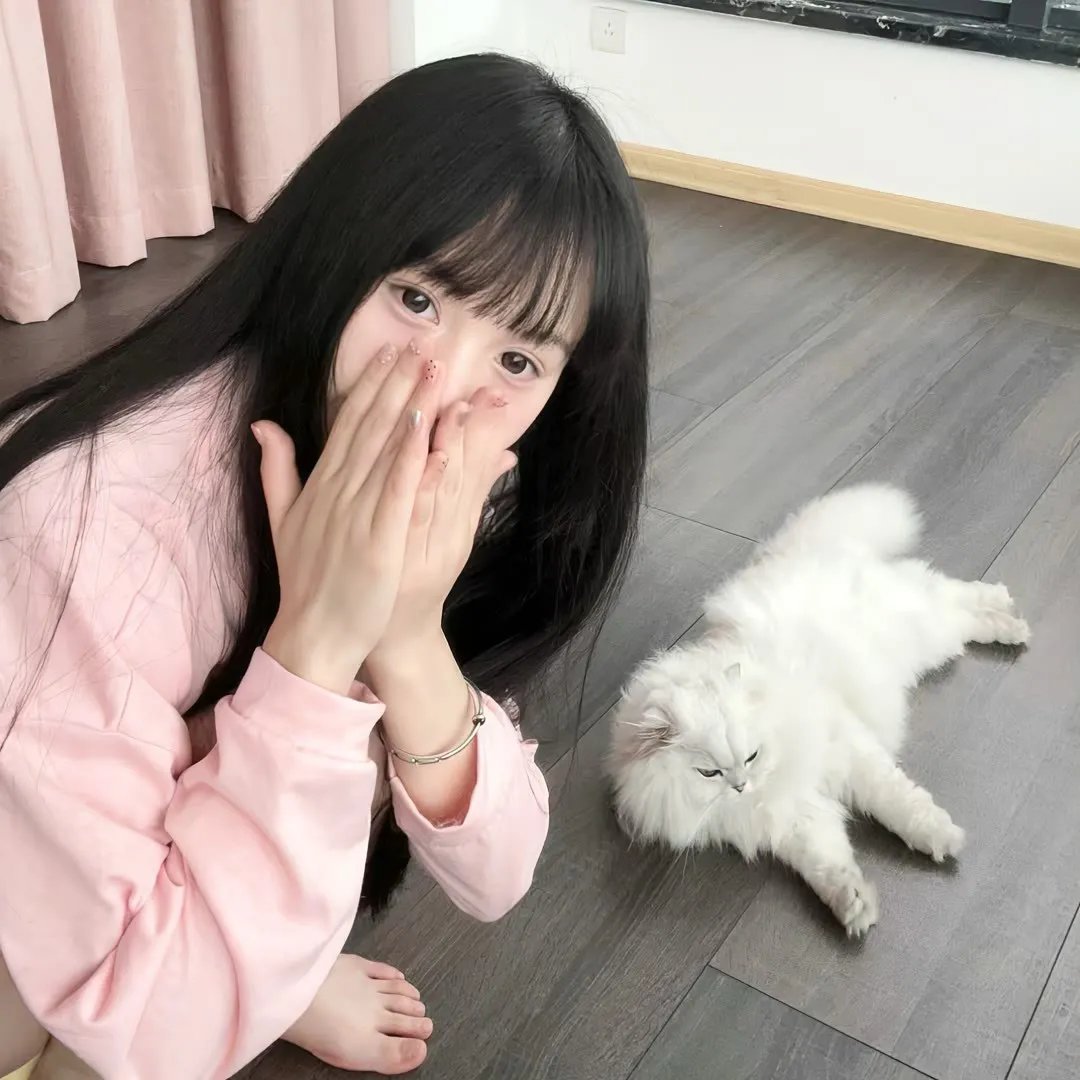喜剧生活